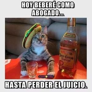 Meet your Posher, Wilson